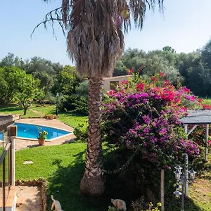 Pep Villa Sineu (Mallorca)